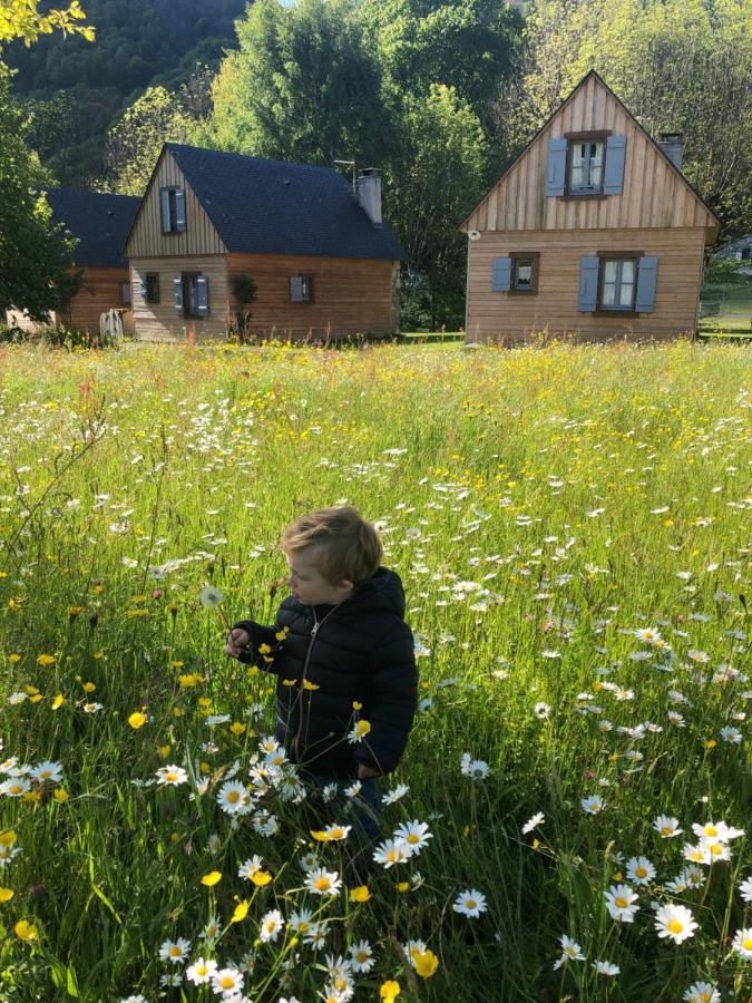 Les Chalets D'Arrens Exteriör bild